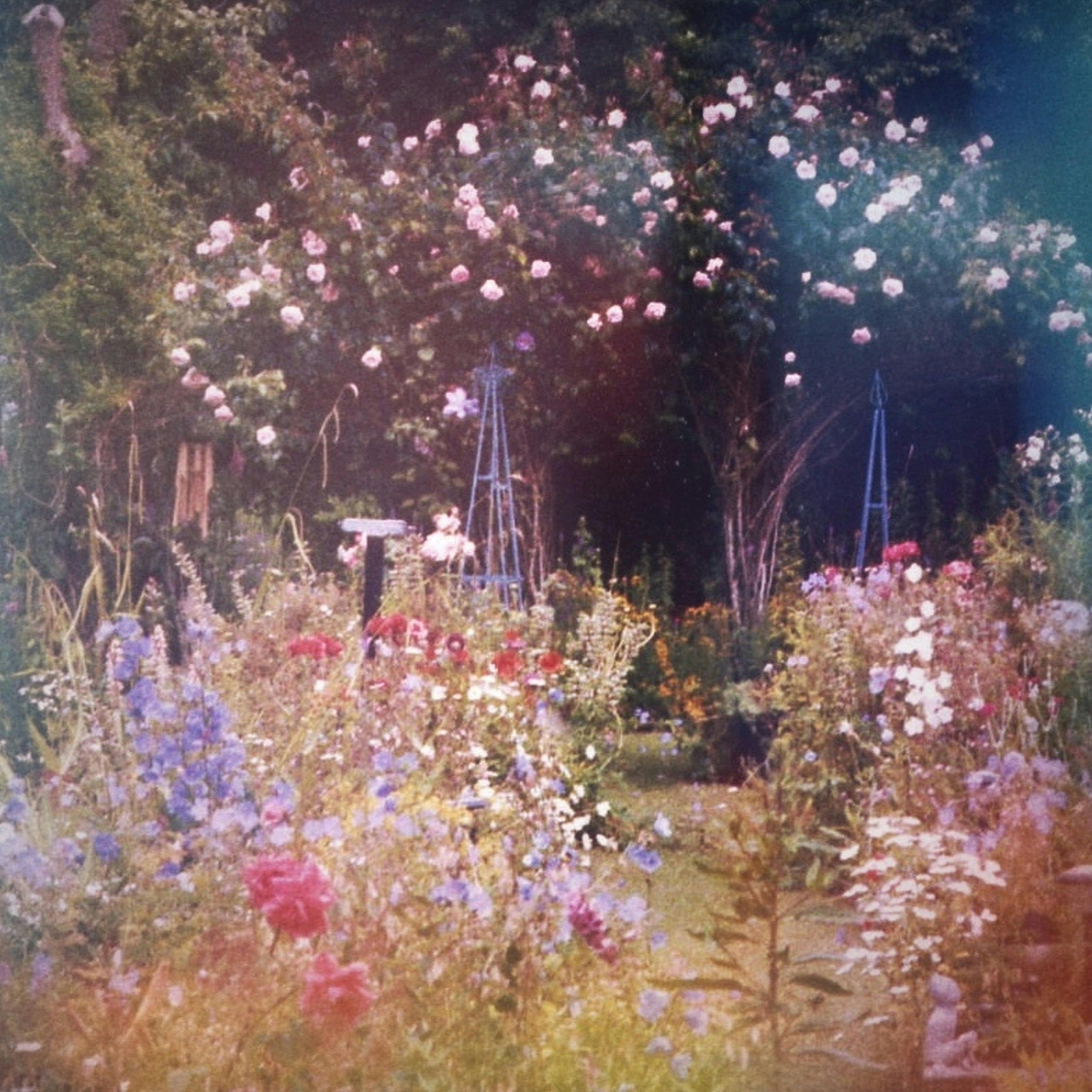 Collection LUNE MON AMOUR