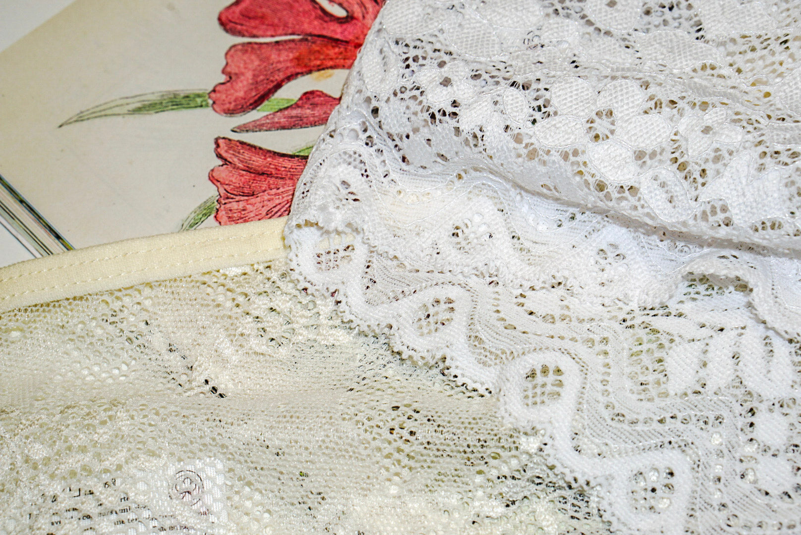 Culotte Shorty Jacky en dentelles